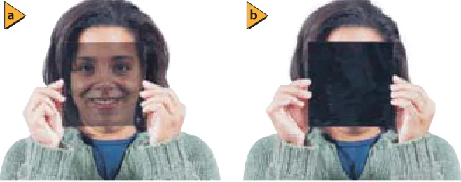 Figure 16-18a. If the polarizing axis of the second filter is perpendicular
