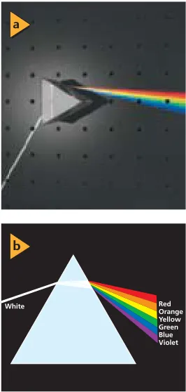 Figure 18-7a. At the back surface of the droplet, some of the light under-goes internal reflection