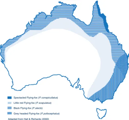 Figure 1.Distribution of four species of Flying-foxes in Australia.Source: Adapted from Hall and Richards (2000) by HE Field (2004)