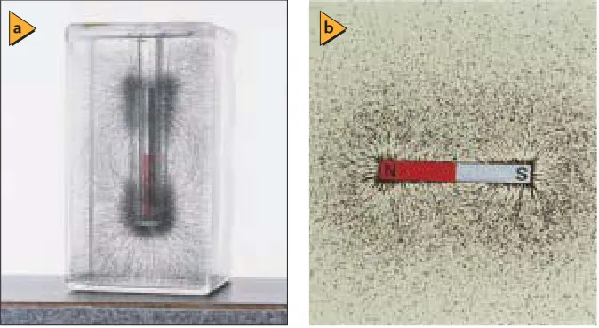 Figure 24-5. What happens inside the magnet? There are no isolated 