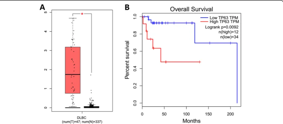 Fig. 5 aunfavorable prognosis in TCGA DLBCL datasets ( The expression intensity of P63 mRNA was significant (P < 0.001) between DLBCL and normal lymphoid tissues, and b predictedP = 0.0092)