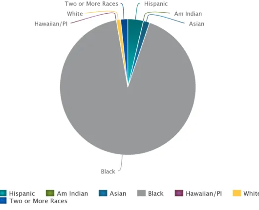 Figure 4: Focus School Demographics. The pie chart illustrates the demographics based  on race, of the focus school 