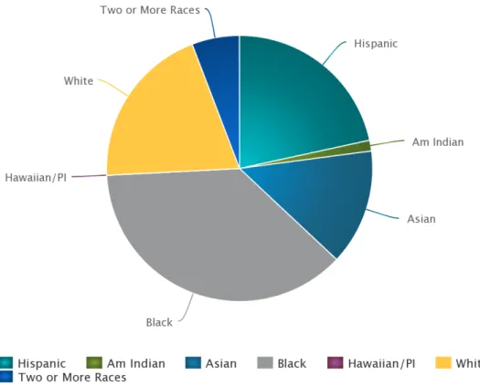 Figure 5: Comparison District Demographics. This pie chart illustrates the demographic  based on race of the comparison district