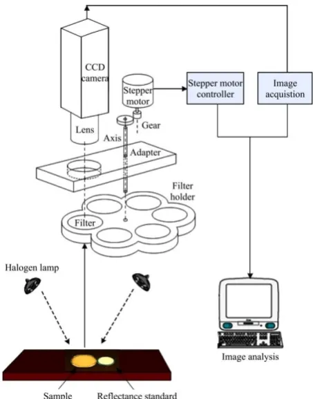 Figure 1  Variations of protein content of rice samples using MLR, PLSR, and ANN approaches 