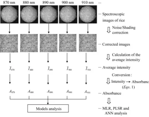 Figure 3 shows the image processing flowchart of the NIR 