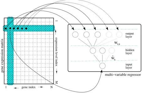 Figure 2.8: The ad hoc procedure proposed to build the training input/output patternsstarting from a gene expression matrix.Each input pattern corresponds to the expressionvalue for the selected gene of interest.