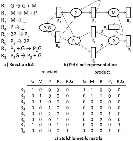 Figure 2.1: The gene expression model is represented by a) a coupled reaction list, b) a Petri-netand c) the corresponding stoichiometric matrix