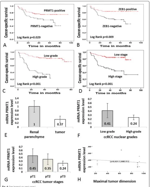 Fig. 4 (See legend on next page.)