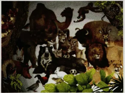 Figure 2. Screen with animals out of focus in the background