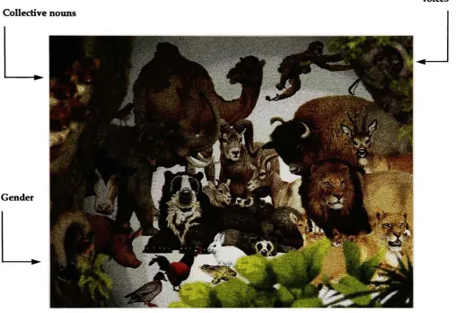 Figure 3. Screen with animals in focus in the background