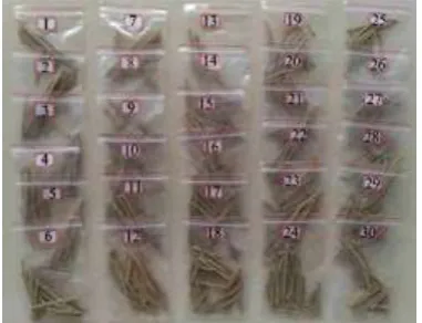 Figure 5  Pellets produced by a MPD at different process  