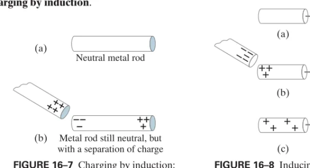 FIGURE 16–7 Charging by induction: