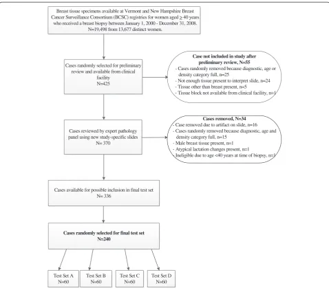 Figure 1 Flow chart describing test set development.