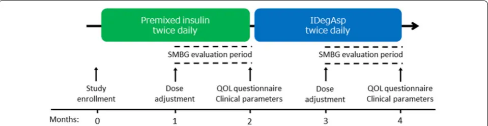 Fig. 1 Study design: a prospective observational study. IDegAsp insulin degludec/insulin aspart, QOL quality of life