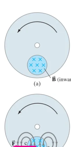 FIGURE 21–20 Production of eddycurrents in a rotating wheel. Thegray lines in (b) indicate inducedcurrent.