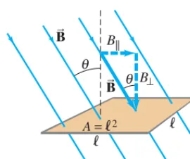 FIGURE 21–3 Determining the fluxthrough a flat loop of wire. This loopis square, of side and area lA = l2.