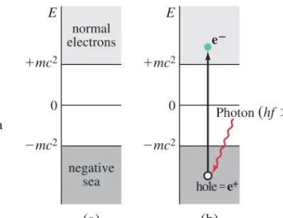 FIGURE 32–13 (a) Possible energy statesfor an electron. Note the vast sea of fullyoccupied electron states at(b) An electron in the negative sea is hit bya photon and knocks it up to anormal positive energy state