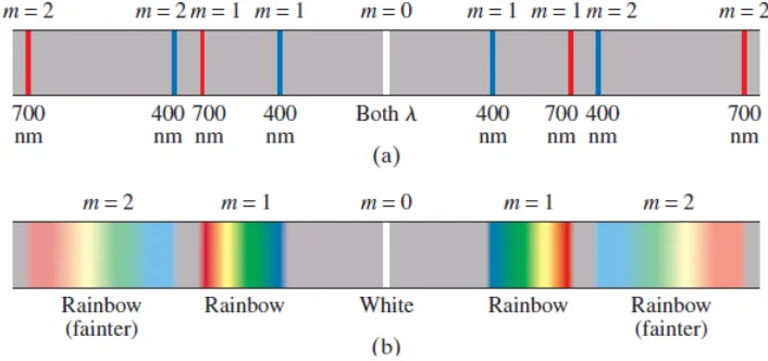 Fig. 24–16: Inside the raindrop the violet light is refracted at a slightly greater angle than the red light, 