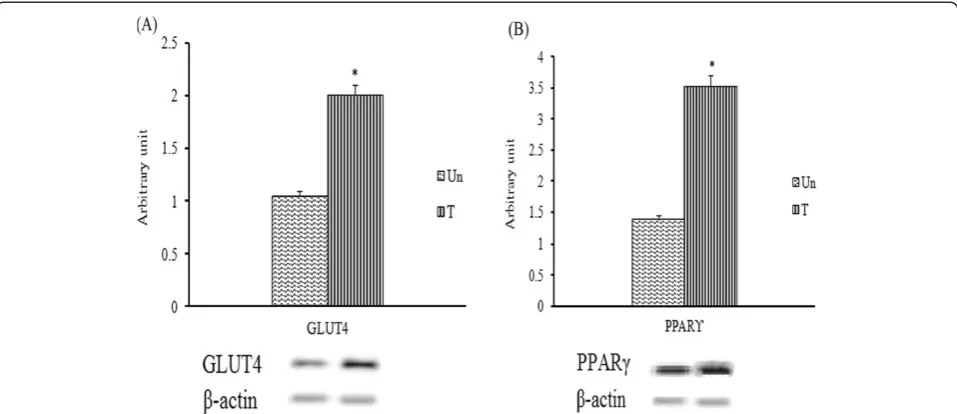 Figure 9 Semi-quantitative PCR analysis of (A) GLUT4 and (B) PPARtreated (T) streptozitocin-induced diabetic rats.mean ± SEM from three independent experiments