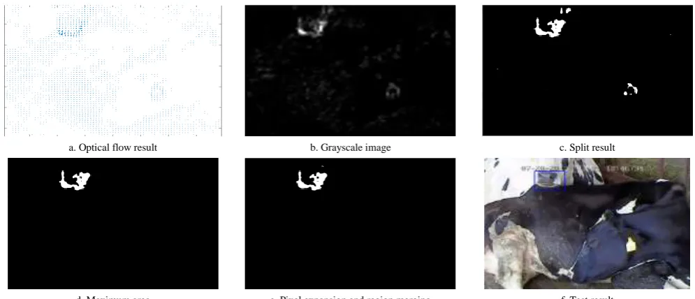 Figure 2  Post-processing of detecting the cow’s mouth area 