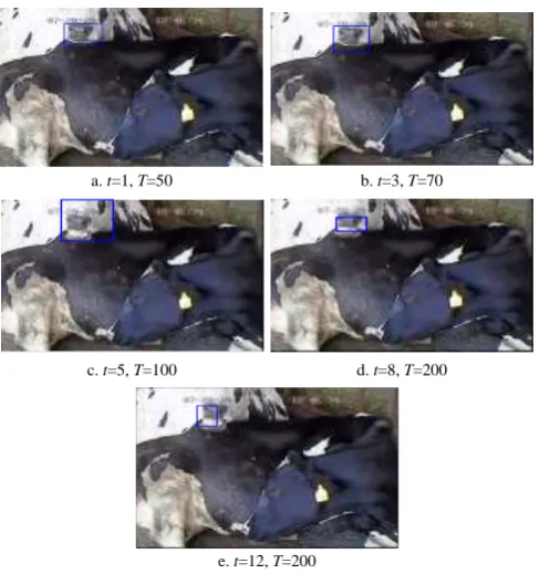 Figure 4  Results of video frame interval t and segmentation threshold T with different values 