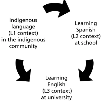 Figure 1. Contexts and languages in which indigenous students are involved.