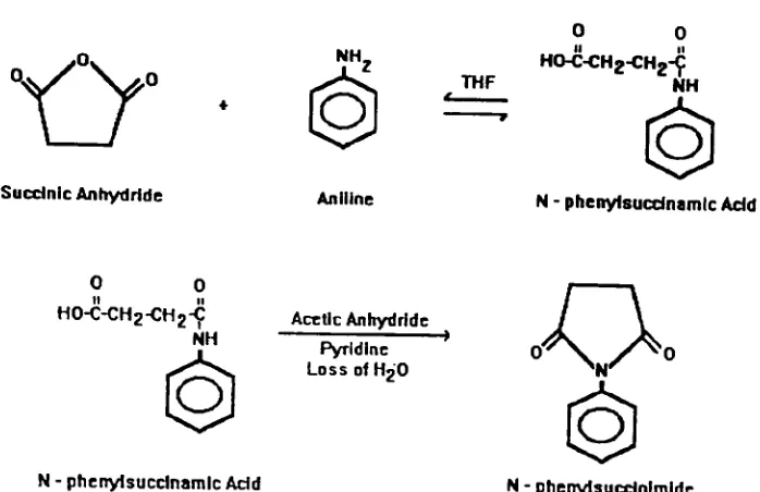 Figure XIII: Succinic anhydride/aniline model reaction.