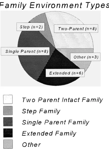 Figure 1. Family environment types as described by subjects in the current study.