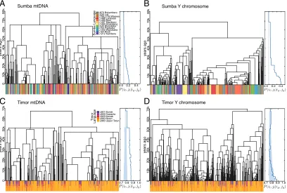 Fig. 1.Languages in sampled villages on Sumba and Timor, eastern Indonesia. Pie charts show the languages spoken, scaled by sample size