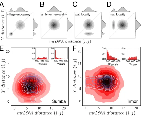 Fig. 3.Genetic structure from an IM model with migration inﬂuenced bykinship practices