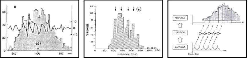 Figure 1.1 Oscillations in behavior  