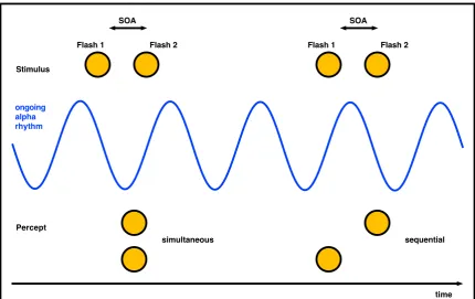 Figure 1.2 Perceptual framing and neuronal oscillations 