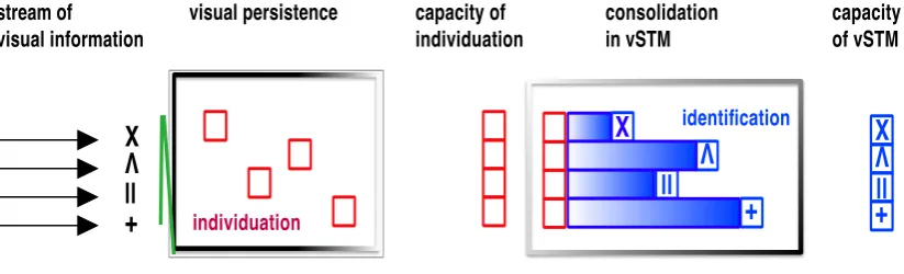 Figure 1.8 Illustration of temporal windows in object processingmaskingpersistence 