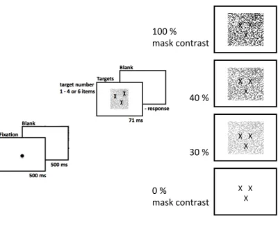 Figure 2.2 Schematic depiction of the enumeration experiment with the manipulation of mask contrast  