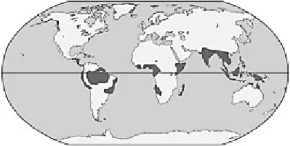 Figure 34-10                                     Tropical Forests Savanna