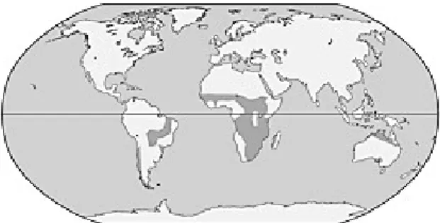 Figure 34-11                                                     Savannas