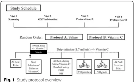 Fig. 1 Study protocol overview