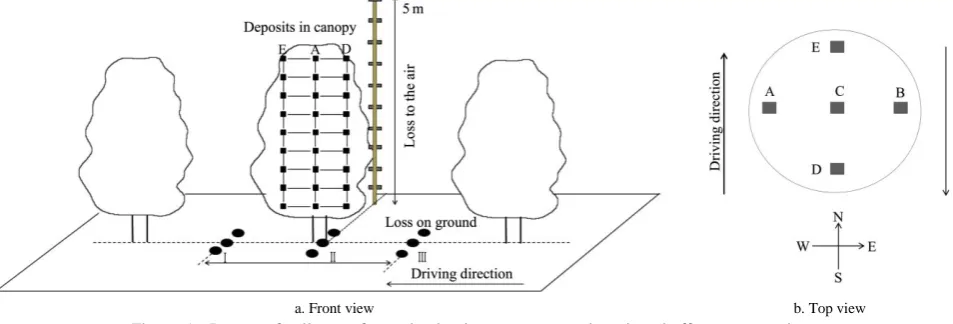 Figure 5  Layout of collectors for evaluating in-canopy spray deposit and off-target spray loss  