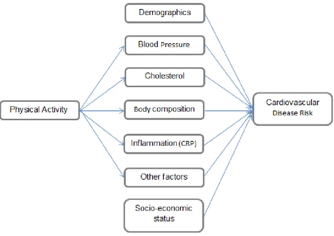 Figure 2. The relationship between PA and cardiovascular risk as mediated by other variables