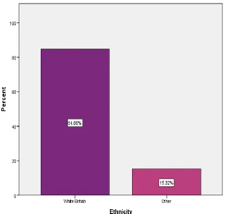 Fig. 3.5 Ethnicity 