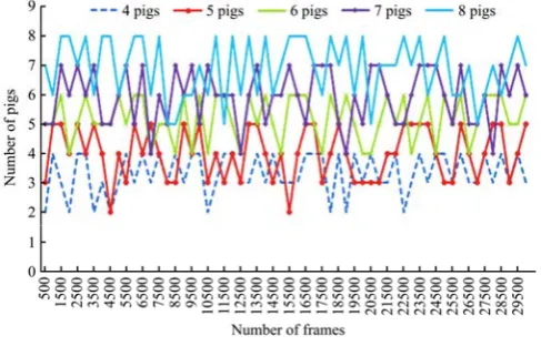 Figure 7  Multi target pigs tracking results of the video sequence 