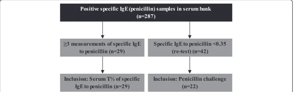 Figure 1 Algorithm for inclusion criteria. 29 patients included for the estimation of T½ of specific IgE to penicillins