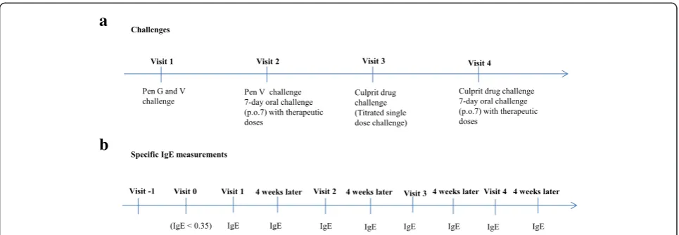 Figure 2 Challenge program in the patients with previous positive specific IgE to penicillins