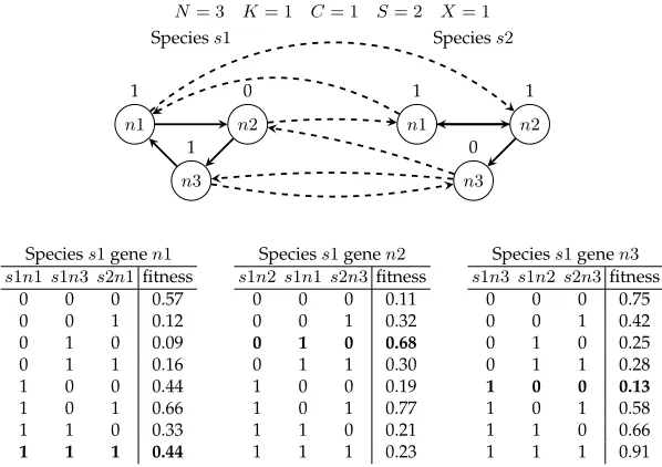 Figure 1. The NKCS model. Each gene is connected to K randomly chosen local genes (solid lines) and to C randomlychosen genes in each of the X other species (dashed lines)