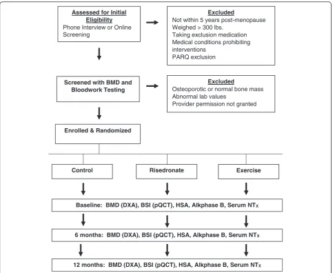 Fig. 1 Experimental design and flow chart