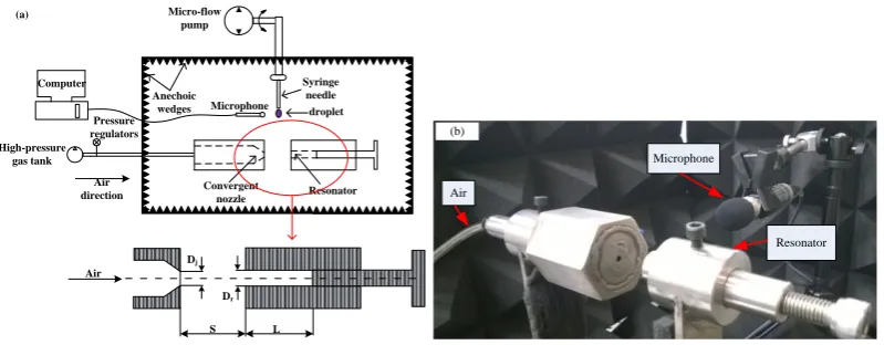 Figure 1. Schematic of the experimental setup: (a) overall experimental system; (b) acoustic detection section