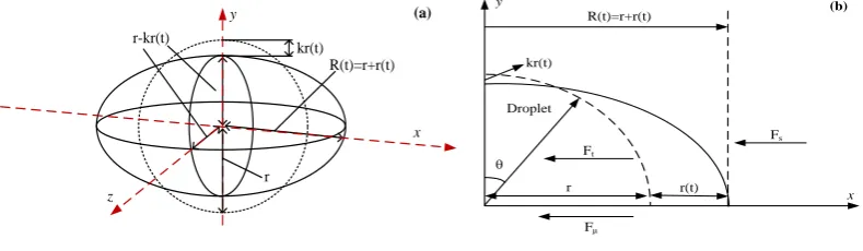 Figure 2. Geometrical model for theoretical analysis: (a) three-dimensional; (b) two-dimensional