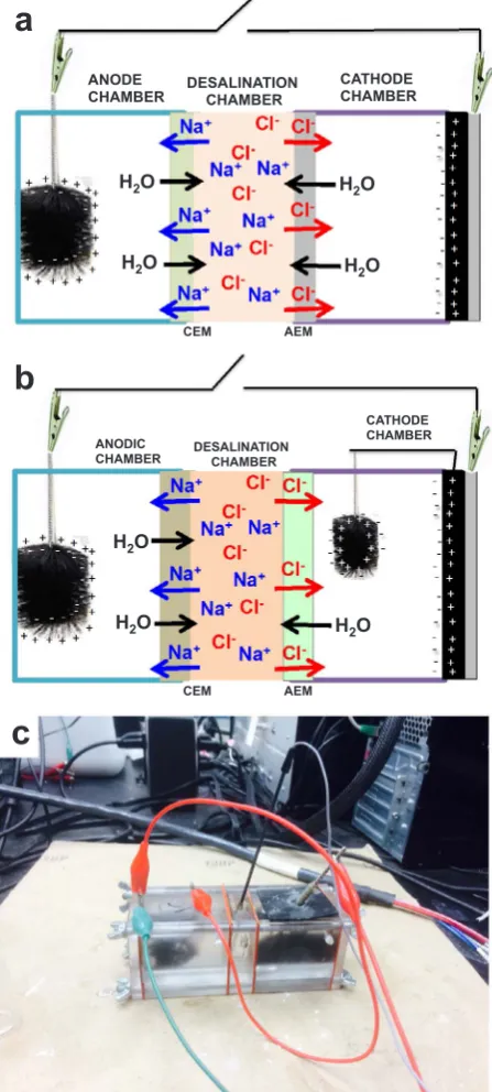 Fig. 1c. The middle chamber of the system was the water desalination
