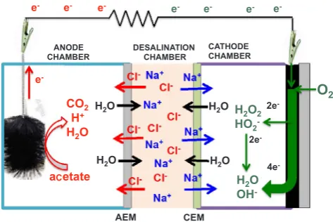 Fig. 2. Schematic representation of a microbial desalination cell (MDC).