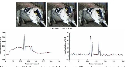 Figure 8  Trajectory curve corresponding to cow’s shacking head movement 